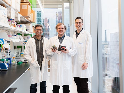 ThomasNesmithOpenPore1